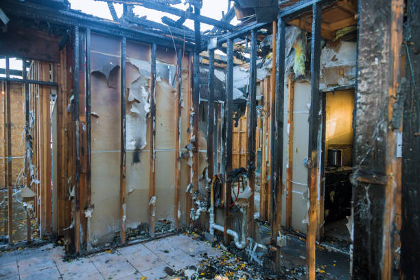Professional Smoke Damage Removal technician working in Tekamah, NE